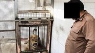 لو رفتن شیر ماده مرد اصفهانی در حسادت زنانه همسرش! + فیلم باغ وحش خصوصی در خمینی شهر!