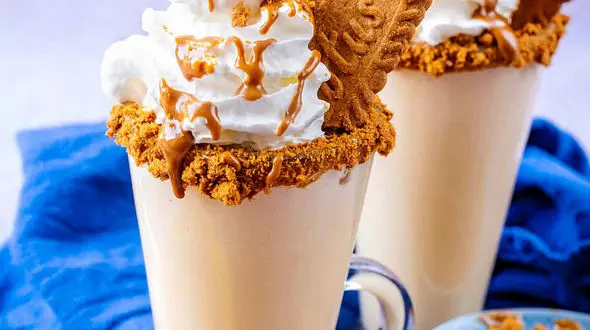 از شیک بیسکوئیتی تا خوش بافت‌ترین کیک خیس