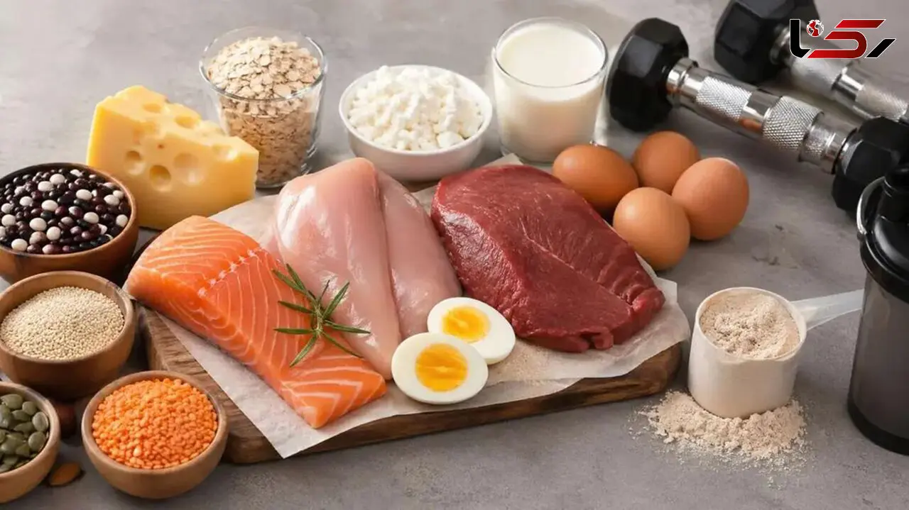 غذاهای سرشار از پروتئین؛ بهترین منابع طبیعی برای تأمین نیاز بدن