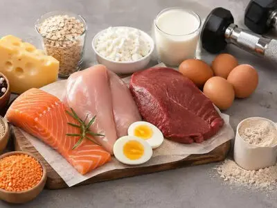 غذاهای سرشار از پروتئین؛ بهترین منابع طبیعی برای تأمین نیاز بدن