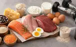 غذاهای سرشار از پروتئین؛ بهترین منابع طبیعی برای تأمین نیاز بدن