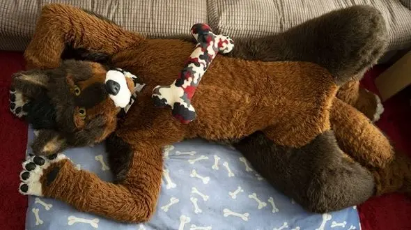 زندگی به سبک سگی/این مرد با قلاده و لباس سگ احساس خوشبختی می‌کند!+ تصاویر
