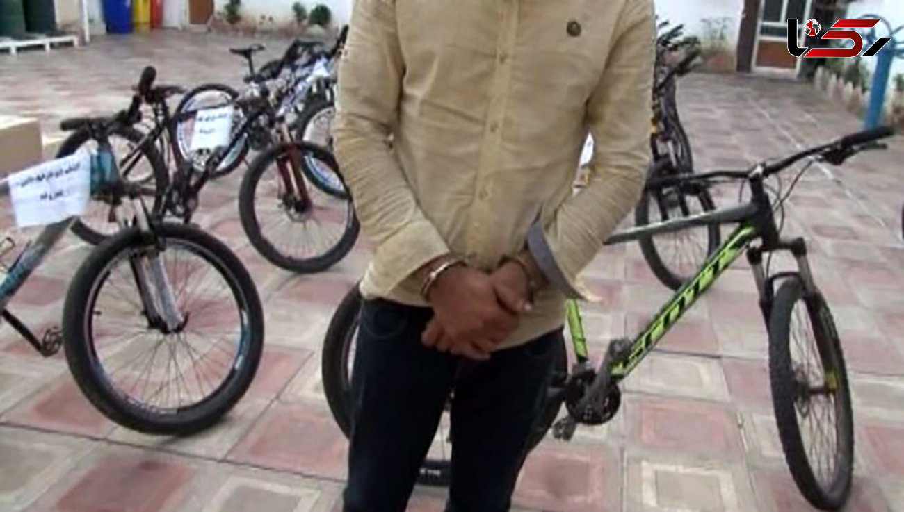 دستگیری سارق دوچرخه و کشف 12 فقره سرقت در ممسنی