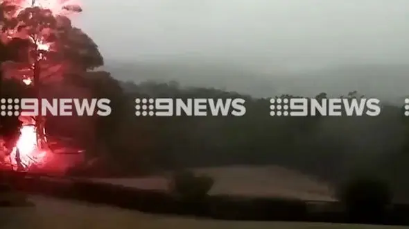 لحظه انفجار درخت تنومند پس از برخورد صاعقه +فیلم