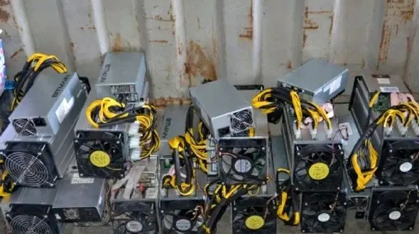 دردسر گاو های دیجیتالی برای مرد گیلانی / گاوداری توقیف شد 