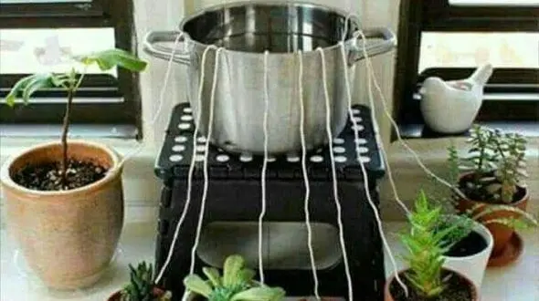 دیگر نگران خشک شدن گلدان هایتان در وقت سفر نباشید