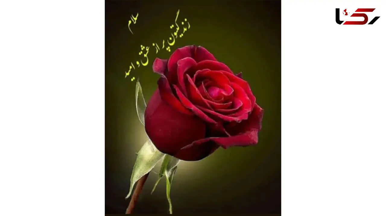 فال روزانه شخصی/ 6 مرداد 1402