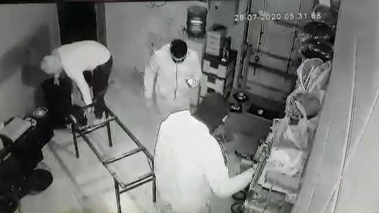 نقابداران خطرناک نسیم شهر را می شناسید؟! + فیلم وحشت آور