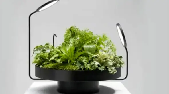 باغچه هوشمند را ببینید + فیلم