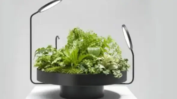 باغچه هوشمند را ببینید + فیلم