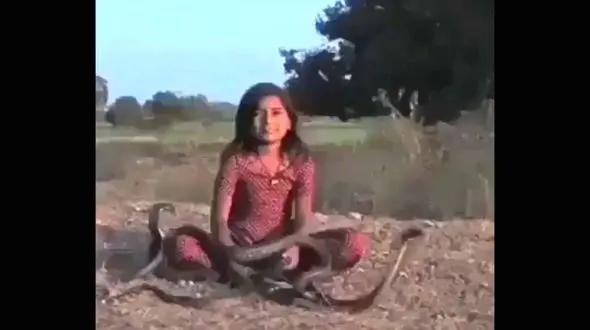 دختری که نیش مار بر او تاثیری ندارد+فیلم