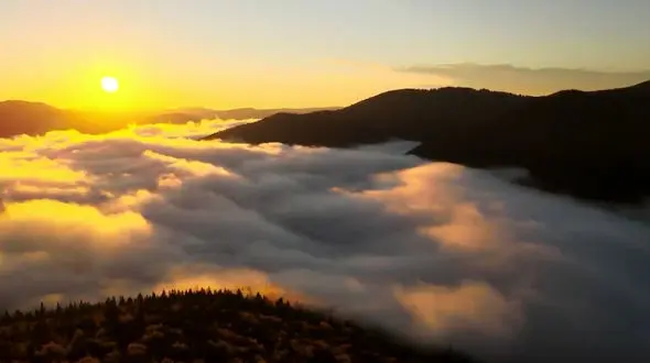 ریلکس کنید / نماهنگ بی کلام آرامش بخش + فیلم