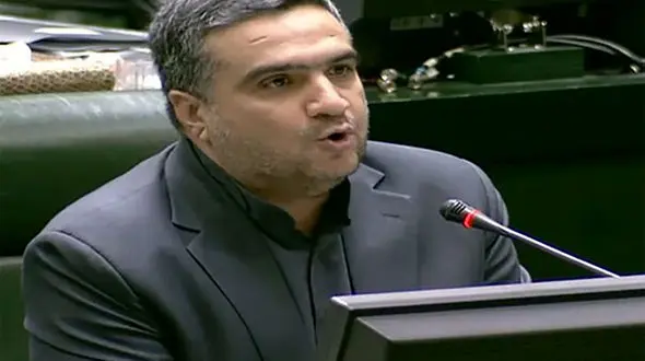 سلمان اسحاقی : وزیر اقتصاد و رئیس کل بانک مرکزی ازعمد در کمیسیون شرکت نکردند/ توضیح نیکزاد درباره علت غیبت مدنی‌زاده و همتی 