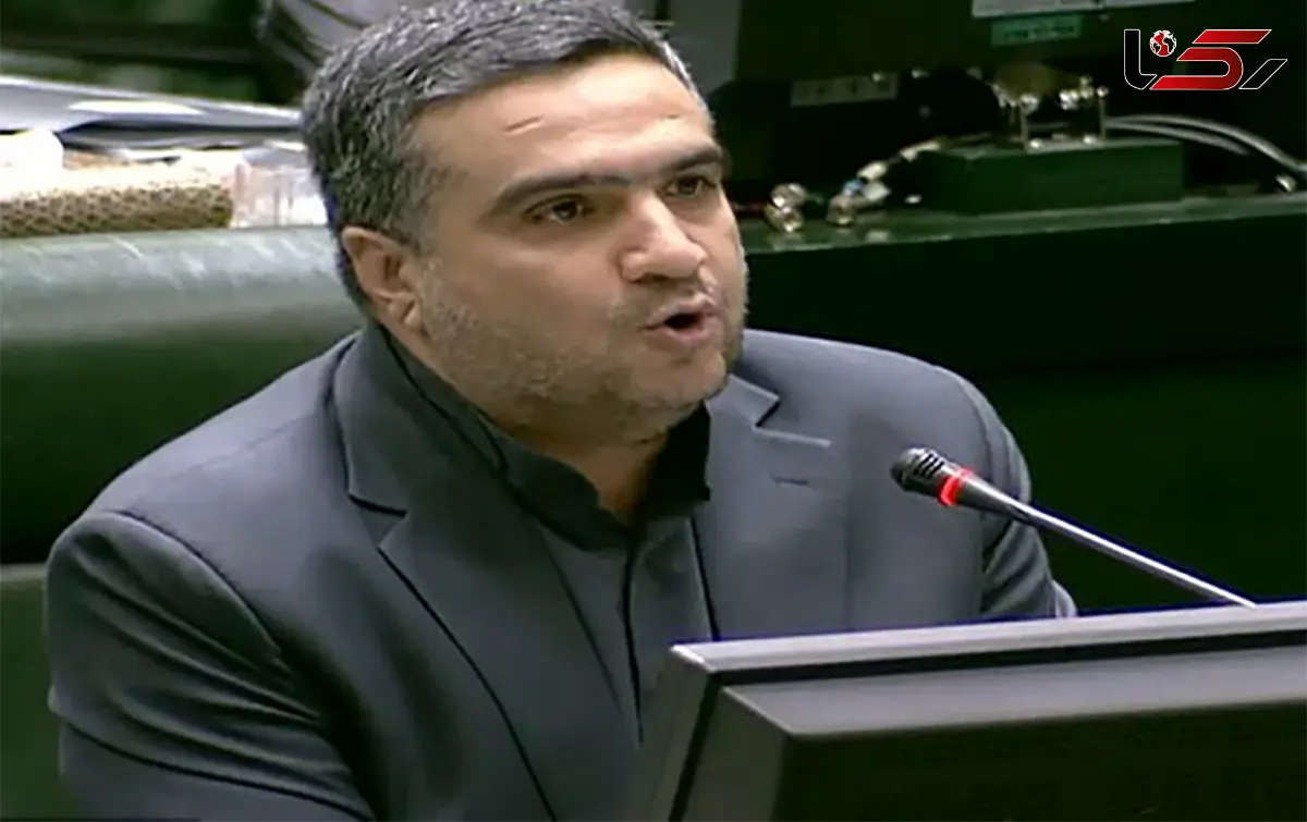 سلمان اسحاقی : وزیر اقتصاد و رئیس کل بانک مرکزی ازعمد در کمیسیون شرکت نکردند/ توضیح نیکزاد درباره علت غیبت مدنی‌زاده و همتی 