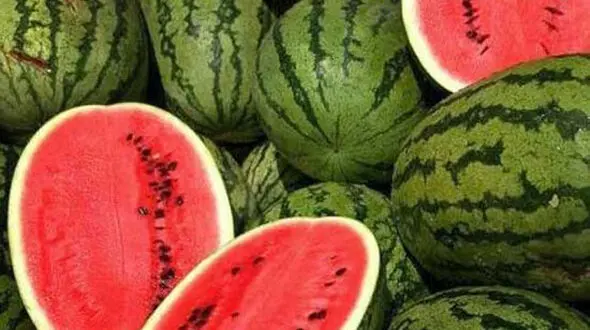 عرضه ۴ میوه ویژه «شب چله» در میادین تره‌بار