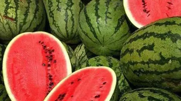 عرضه ۴ میوه ویژه «شب چله» در میادین تره‌بار
