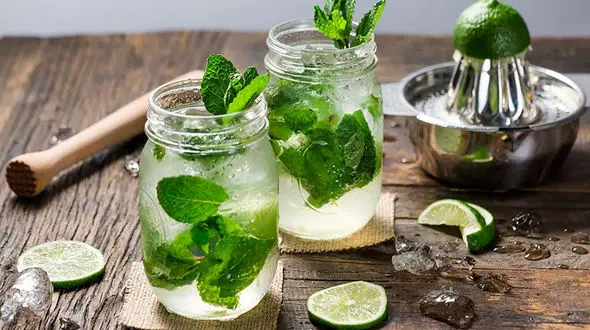 طرز تهیه موهیتو