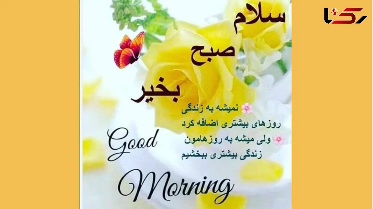 فال روزانه شخصی / 24 دی ماه + فیلم