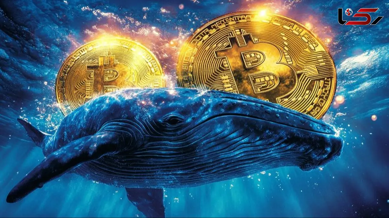 کاهش شدید معاملات بیت کوین / جدیدترین قیمت ارزهای دیجیتال