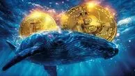 کاهش شدید معاملات بیت کوین / جدیدترین قیمت ارزهای دیجیتال