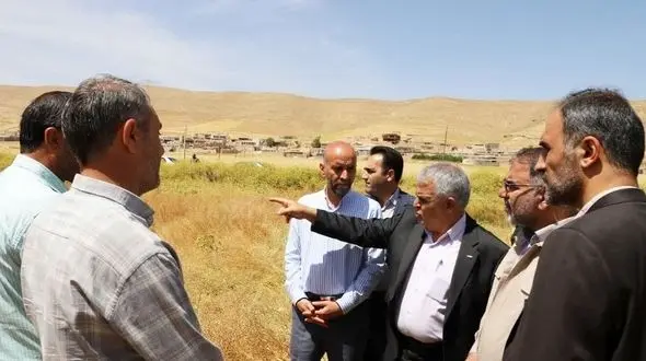 پیش‌بینی افزایش ۶۰ درصدی تولید گندم در لرستان