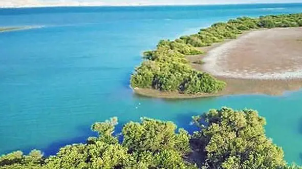 از جنگل حرا تا مسجد نصیرالملک