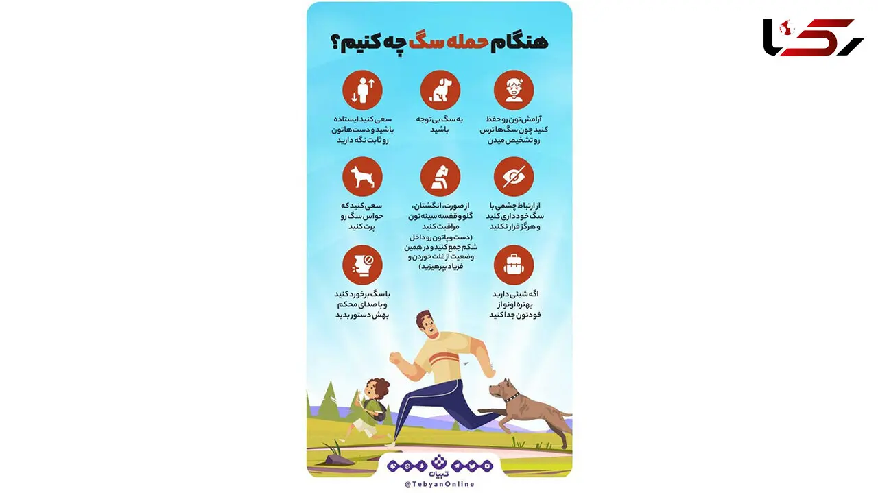 اینفوگرافیک‌ /  هنگام حمله سگ‌ها چه کنیم؟