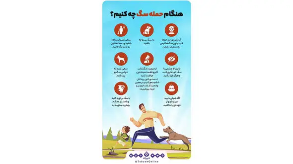 اینفوگرافیک‌ /  هنگام حمله سگ‌ها چه کنیم؟