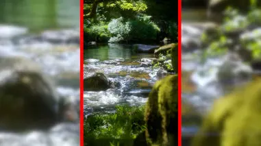 فیلم طبیعت دیدنی دوون در انگلستان