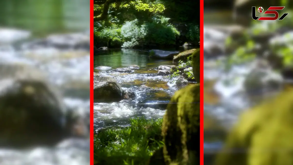 فیلم طبیعت دیدنی دوون در انگلستان