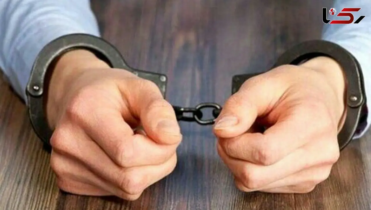 سارق بلند پرواز فقط به خاطر رکورد زنی گیر افتاد / سرقت 17 کامپیوتر 206 در مرزداران