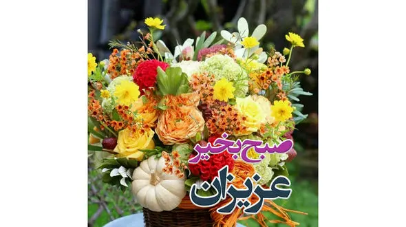 فال روزانه شخصی/ 23 مرداد ماه + فیلم