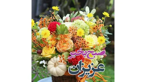 فال روزانه شخصی/ 23 مرداد ماه + فیلم