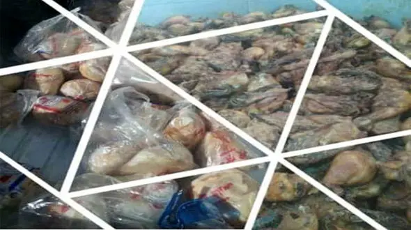  تالار پذیرایی در فسا برای مشتریانش مرغ فاسد می پخت