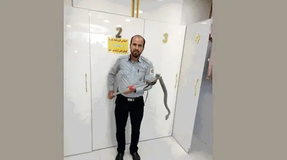 وحشت مردم تبریز از یک موجود هولناک + عکس