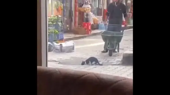 پربازدیدترین ویدیوی جهان از یک کارگر مهربان + فیلم