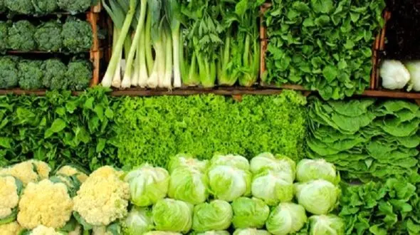 چرا متخصصان تغذیه سبزیجات را معجزه سلامتی می‌ نامند؟