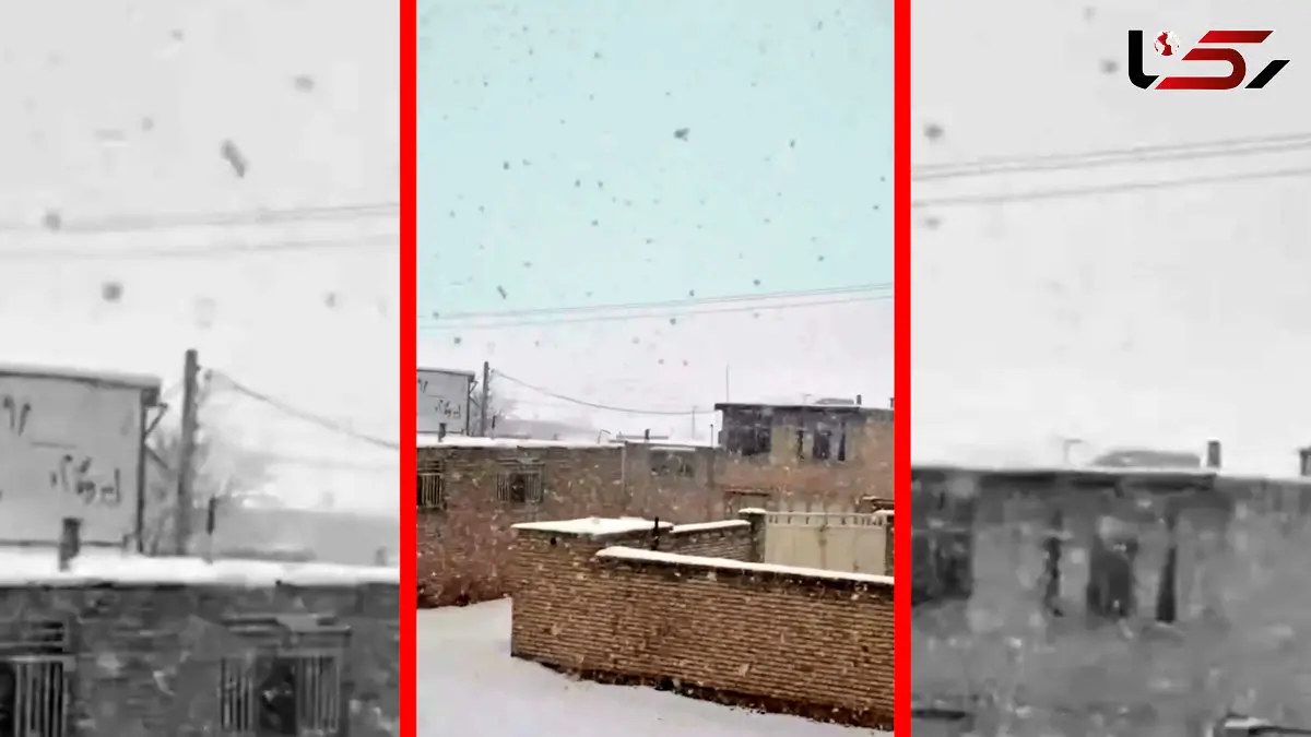 فیلم مناظر زمستانی و برفی بلداجی