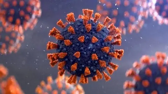 علائم و علل کرونای تیغی؛ بیماری مرموز جدید را بشناسید