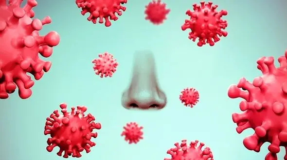 آمار کرونا در ایران تا امروز ششم شهریورماه / ۶۱۴ ایرانی دیگر جانباختند