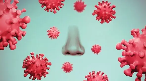 آمار کرونا در ایران تا چهاردهم مردادماه / ۴۳۴ ایرانی دیگر جانباختند