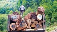 15 تن چوب قاچاق در قروه کشف شد