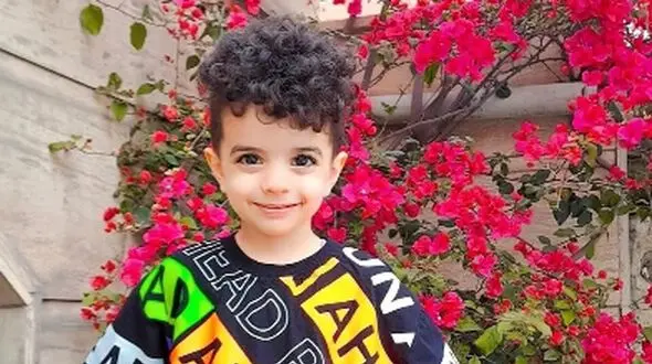 ویدئو/نگاهی به چیدمان منزل شاهانه و مجلل مهدیار کلائی «سالارِ پایتخت» / از مبلمان سلطنتی و مدرن و حیاط سرسبز شمال تا تابلوهای هنری و پرده‌های اعیانی+ تصاویر