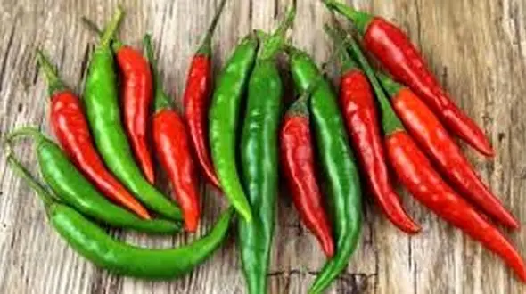 آب کردن فوری شکم با این خوراکی ها