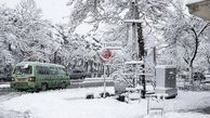احتمال بارش برف در تهران / کاهش ۵ تا ۲۰ درجه ای دما در برخی مناطق ایران 