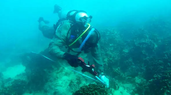 سلامت مرجان ها نیز پایش می شود