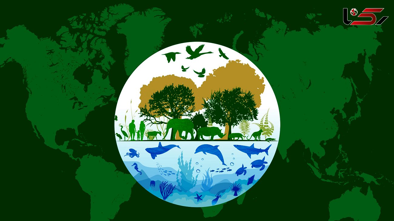 5 عامل اصلی تهدیدکننده تنوع زیستی ایران / حق تقدم اقتصاد بر محیط زیست در تفکر مسئولان + صوت