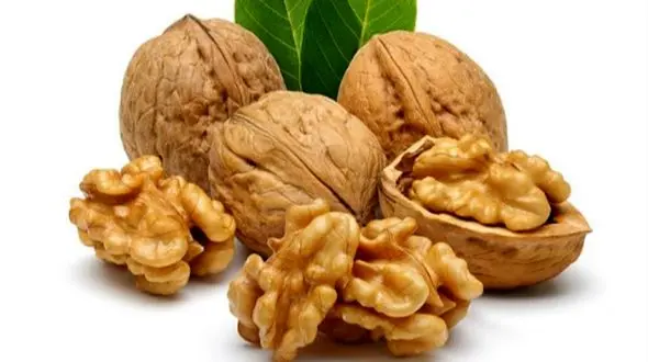 گردو بخورید و این فواید بی‌ نظیر را تجربه کنید