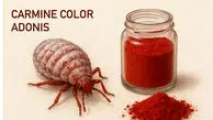 رنگ قرمز پرحاشیه مجوز گرفت؛ E120 رسماً تأیید شد