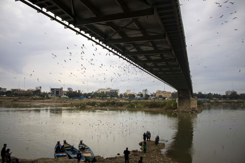 پرندگان مهاجر خوزستان